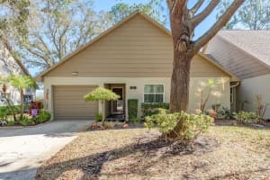 3413 ROCHELLE COURT, CLEARWATER, FL 33761 - MLS#MFRTB8474877