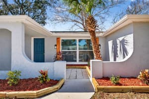 10033 REGENCY PARK BOULEVARD, PORT RICHEY, FL 34668 - MLS#MFRTB8474887