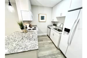 11914 CYPRESS VISTA, TAMPA, FL 33626 - MLS#MFRTB8474901