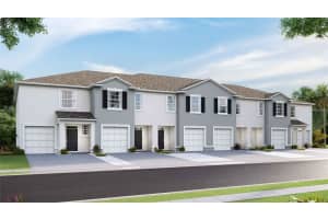 32920 PEZ LANDING LANE, WESLEY CHAPEL, FL 33543 - MLS#MFRTB8474935