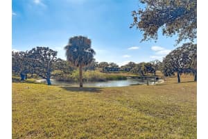 11431 DOLLAR LAKE DRIVE, PORT RICHEY, FL 34668 - MLS#MFRTB8474951