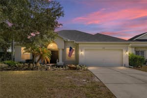 13322 Trailing Moss Dr, DADE CITY