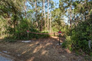 9501 BONNET LAKE DRIVE, NEW PORT RICHEY, FL 34654 - MLS#MFRTB8474973