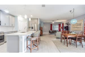 31310 CABANA RYE AVENUE, SAN ANTONIO, FL 33576 - MLS#MFRTB8475011