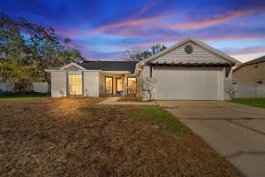 12130 WILDBROOK DRIVE, RIVERVIEW, FL 33569 - MLS#MFRTB8475033
