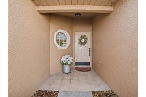 1113 VINETREE DRIVE, BRANDON, FL 33510 - MLS#MFRTB8475069