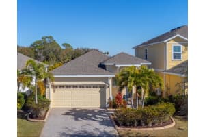 303 Blackrock Ln, APOLLO BEACH