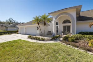 17304 CARRIAGE WAY, ODESSA, FL 33556 - MLS#MFRTB8475096