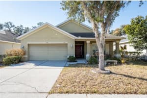 6613 Bluff Meadow Ct, WESLEY CHAPEL