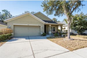 6613 BLUFF MEADOW COURT, WESLEY CHAPEL, FL 33545 - MLS#MFRTB8475097