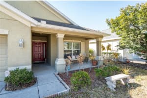 6613 BLUFF MEADOW COURT, WESLEY CHAPEL, FL 33545 - MLS#MFRTB8475097