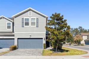 1101 Arbour Verde Ct, TAMPA