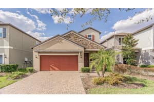 5000 Ballantrae Blvd, LAND O LAKES 5000 Ballantrae Blvd, LAND O LAKES