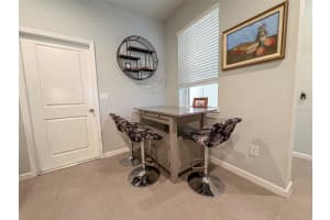 10703 VERAWOOD DRIVE, RIVERVIEW, FL 33579 - MLS#MFRTB8475130