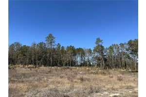 13331 HAVEN TRAIL, WEEKI WACHEE, FL 34614 - MLS#MFRTB8475150