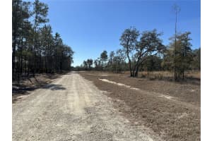 13331 HAVEN TRAIL, WEEKI WACHEE, FL 34614 - MLS#MFRTB8475150