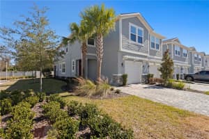 8519 PRIMROSE WILLOW PLACE, ODESSA, FL 33556 - MLS#MFRTB8475194