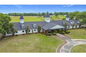 6530 156TH LOOP, SUMMERFIELD, FL 34491 - MLS#MFRTB8475204