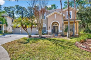 6604 PORTLAND OAK COURT, TAMPA, FL 33647 - MLS#MFRTB8475235