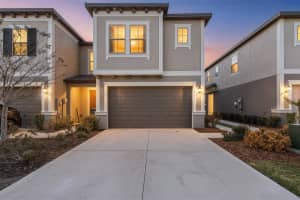 31615 BLUE PASSING LOOP, WESLEY CHAPEL, FL 33545 - MLS#MFRTB8475239