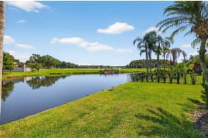 4311 AVENUE CANNES, LUTZ, FL 33558 - MLS#MFRTB8475247