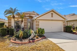 23730 CORAL RIDGE LANE, LAND O LAKES, FL 34639 - MLS#MFRTB8475259