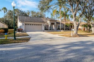 10208 THICKET POINT WAY, TAMPA, FL 33647 - MLS#MFRTB8475264