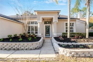 10208 THICKET POINT WAY, TAMPA, FL 33647 - MLS#MFRTB8475264