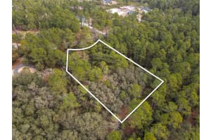APRICOT AVE, EUSTIS, FL 32736 - MLS#MFRTB8475273