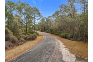 APRICOT AVE, EUSTIS, FL 32736 - MLS#MFRTB8475273