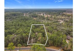 APRICOT AVE, EUSTIS, FL 32736 - MLS#MFRTB8475273