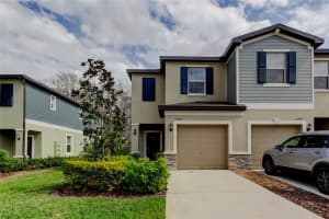 17567 NECTAR FLUME DRIVE, LAND O LAKES, FL 34638 - MLS#MFRTB8475277