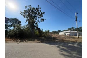 1036 PILGRIM STREET, LEHIGH ACRES, FL 33974 - MLS#MFRTB8475278