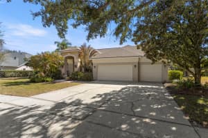 5031 WESLEY DRIVE, TAMPA, FL 33647 - MLS#MFRTB8475319