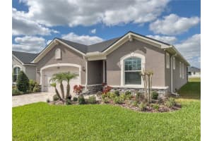 13102 SATIN LILY DRIVE, RIVERVIEW, FL 33579 - MLS#MFRTB8475360