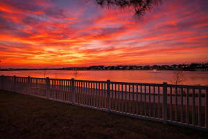 1716 NATURE VIEW DRIVE, LUTZ, FL 33558 - MLS#MFRTB8475364