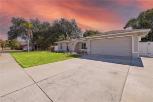 8926 GUM TREE AVENUE, NEW PORT RICHEY, FL 34653 - MLS#MFRTB8475371