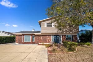 8461 Flagstone Dr, TAMPA