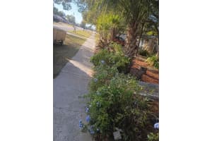 27043 ROPER ROAD, BROOKSVILLE, FL 34602 - MLS#MFRTB8475404