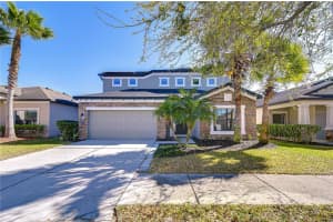 4736 Woods Landing Ln, TAMPA