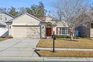 23851 HASTINGS WAY, LAND O LAKES, FL 34639 - MLS#MFRTB8475427