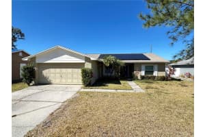 16010 Eagle River Way, TAMPA