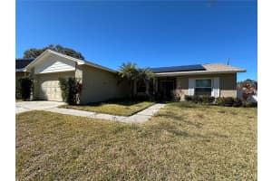 16010 EAGLE RIVER WAY, TAMPA, FL 33624 - MLS#MFRTB8475436
