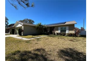 16010 EAGLE RIVER WAY, TAMPA, FL 33624 - MLS#MFRTB8475436