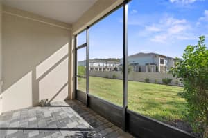 4282 CLOUD HOPPER WAY, LUTZ, FL 33559 - MLS#MFRTB8475446