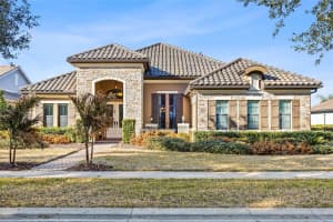 14715 Fishhawk Preserve Dr, LITHIA