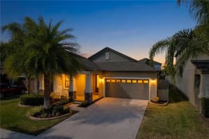 13907 ROSEATE TERN LANE, RIVERVIEW, FL 33579 - MLS#MFRTB8475467