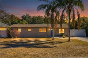 10405 N Woodmere Rd, TAMPA