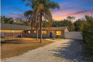 10405 WOODMERE ROAD, TAMPA, FL 33617 - MLS#MFRTB8475468