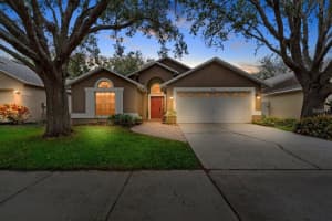 2522 Clareside Dr, VALRICO